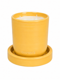 ENSEMBLE CANDLE INDOOR