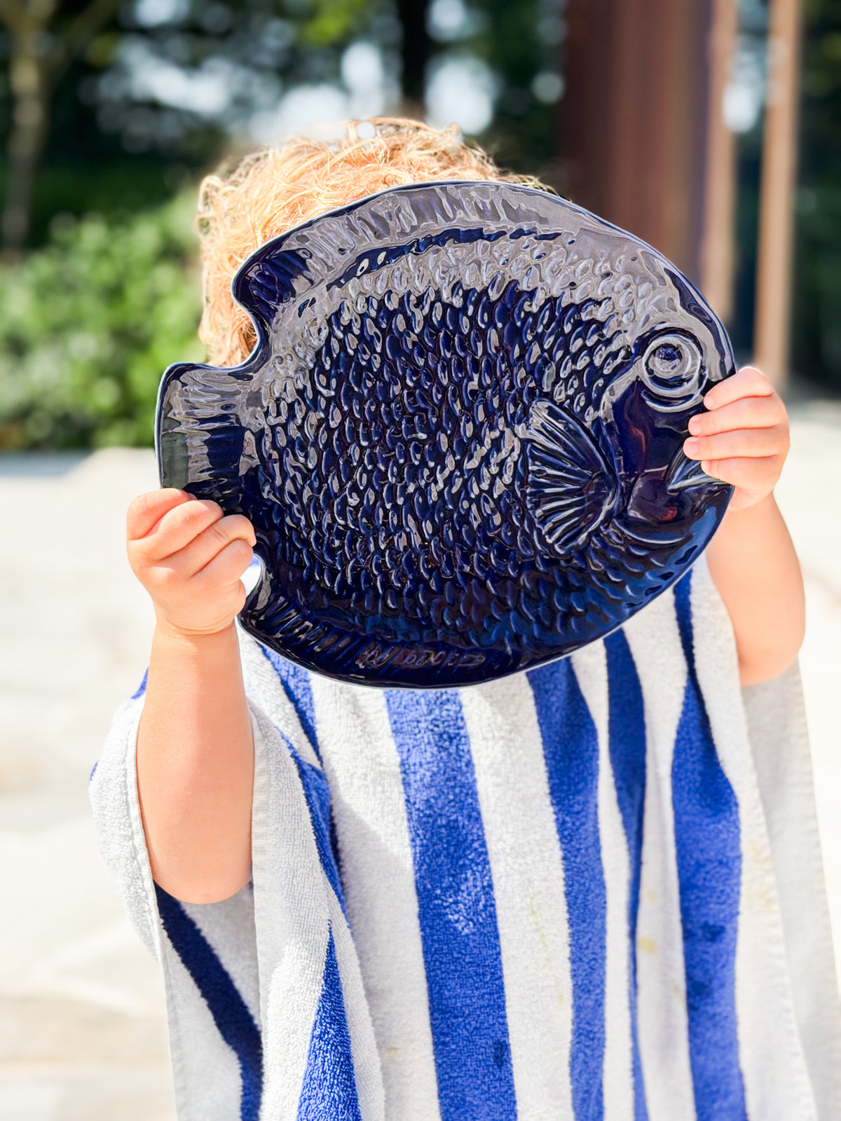 Fish plate