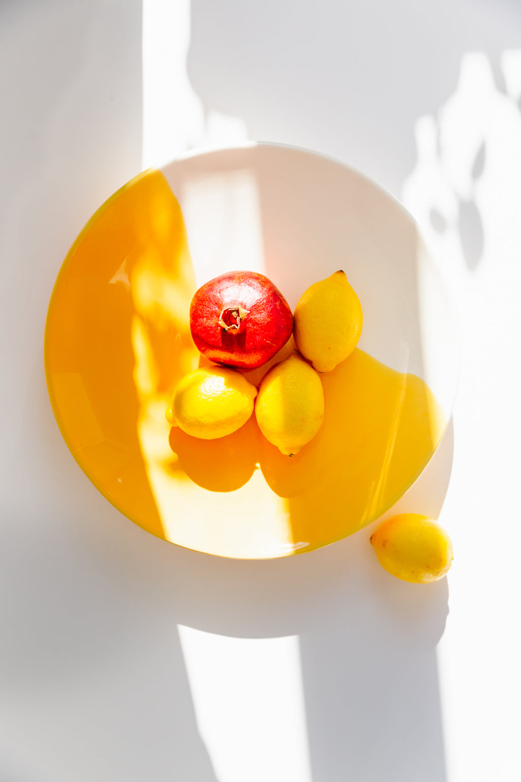 Fruit Feest
