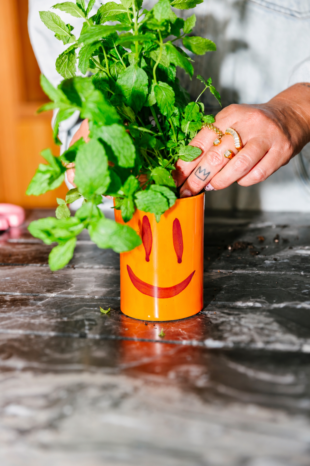 Little planter - Sofie Dumont