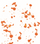 Orange Blob
