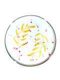 Platter Gabriela